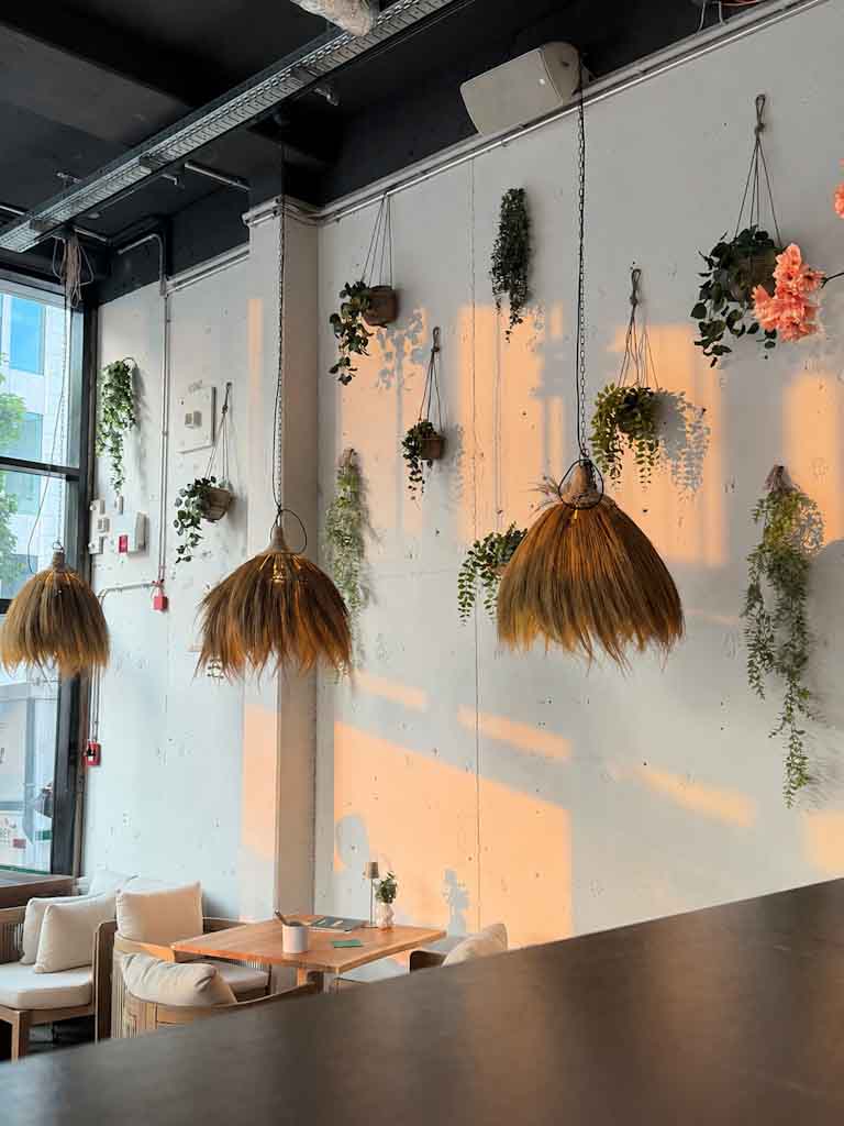 Heller Cafebereich mit hängenden Rattanlampen und Pflanzen an Wand in Warmtönen